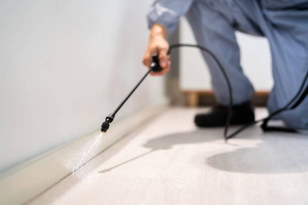 Licensed Mosquito Control service in Newark, IL - Show Me Pest Control