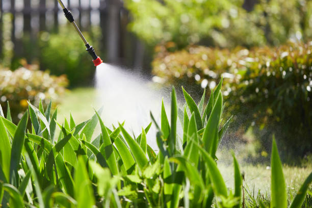 24/7 Emergency Mosquito Control experts in Newark, IL