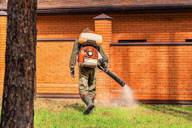 Top rated local Mosquito Control specialists in Newark, IL